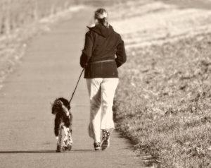 Takaapäin otettu kuva naisesta ulkona kävelyllä koiran kanssa
