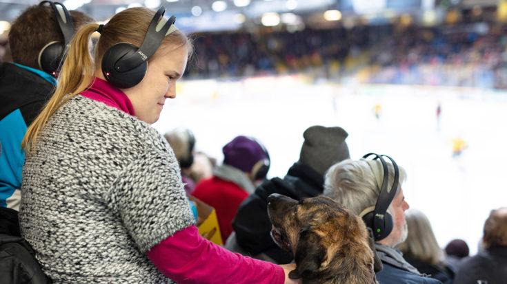 Anni Väänänen istuu katsomossa kuulokkeet päässään ja katsoo mustaruskeaa Ropsu-koiraa. Vieressä näkyy muitakin ihmisiä kuulokkeet päässään.