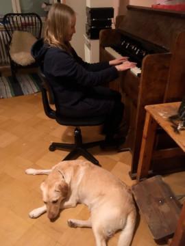 Helena Taskila soittaa pianoa. Maassa makaa vaalea labradorinnoutaja.